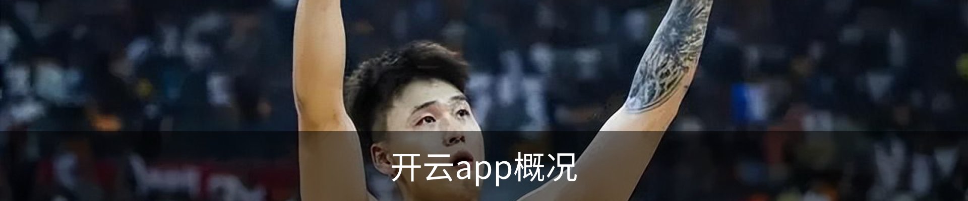 开云app概况