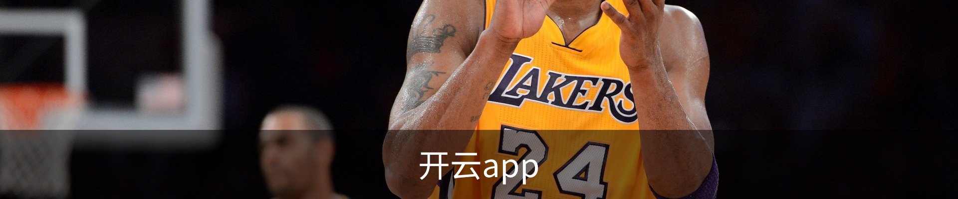 开云app